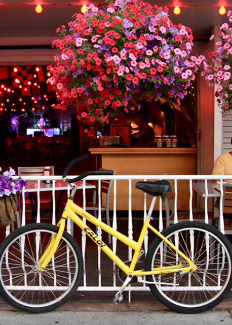 Bicycle Rental